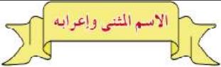 الاسم المثنى وإعرابه